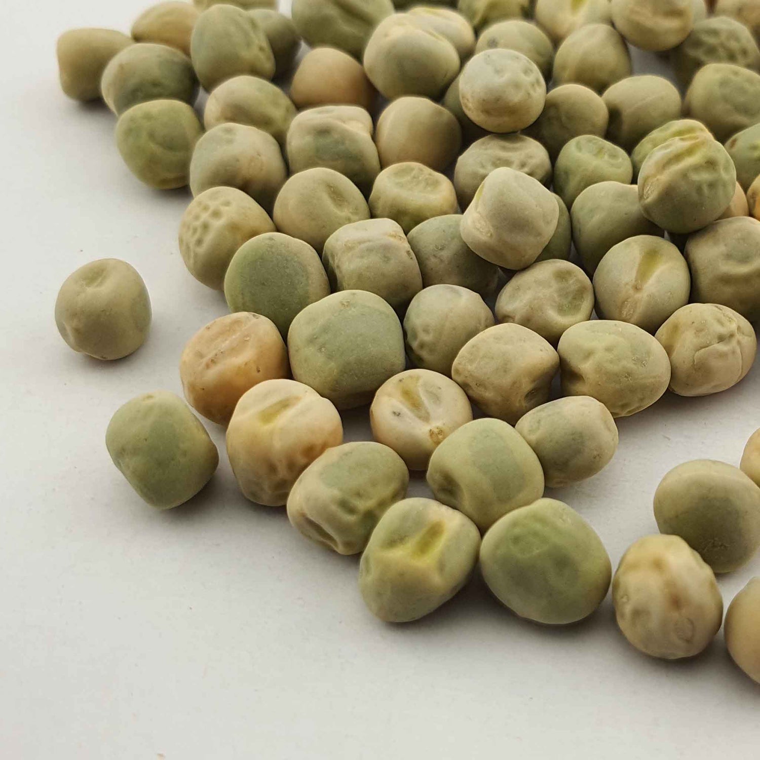 Microgreen - Pea (CONVENTIONAL)