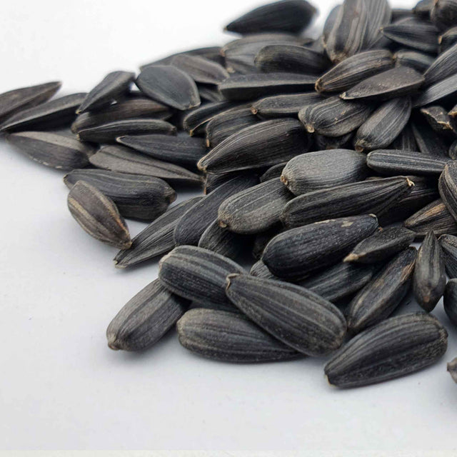 Microgreen - Sunflower seeds (ORGANIC)