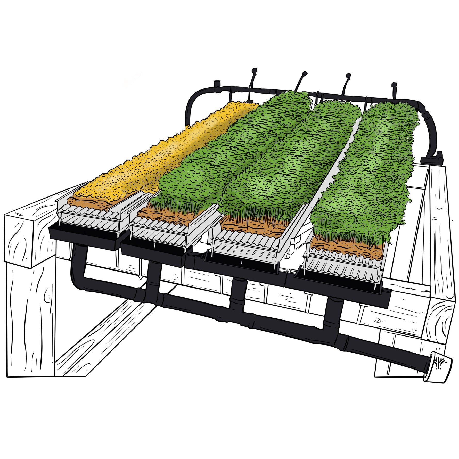 6+ Microgreen Watering System Microgreen Production - Hydroponic NFT system – Nordamark