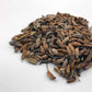 Microgreen -  Fennel (CONVENTIONAL)