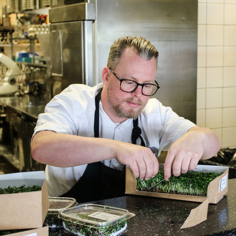 Packaging - Restaurant Carton for live microgreens