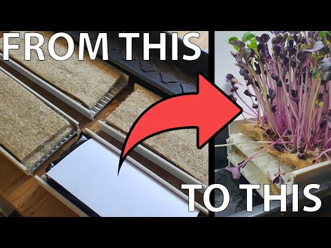 Microgreen Growingkit - Nordamark Channel System