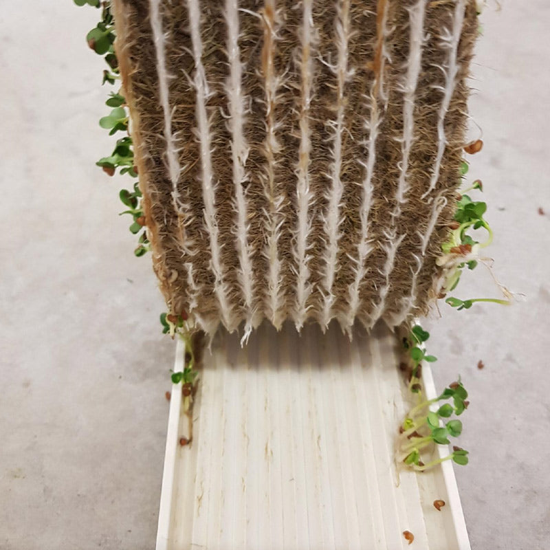 Microgreen Growing Channel - 115 cm